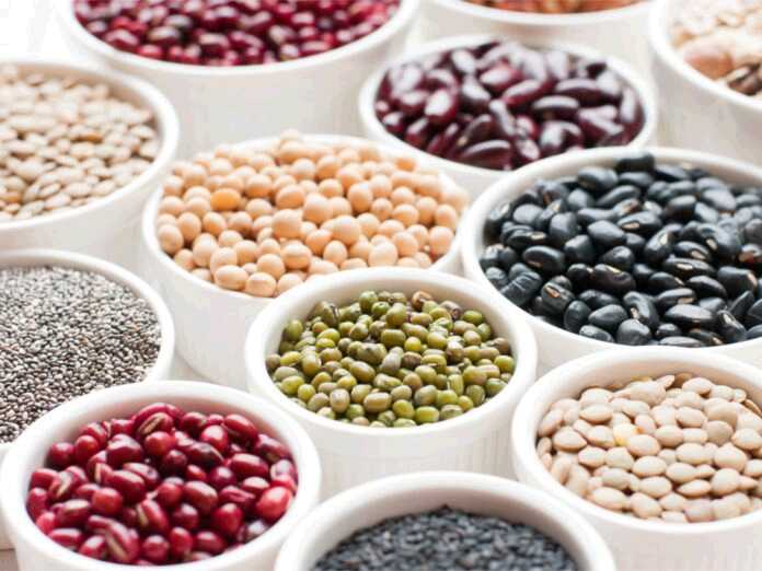 beans for diabetics